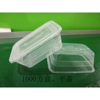 1000方盒、平盖-长沙注塑厂